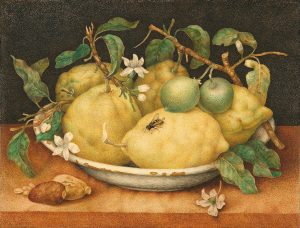 Giovanna Garzoni, "Still Life with Bowl of Citrons," Tempera on vellum, late 1640s, Getty Museum of Art